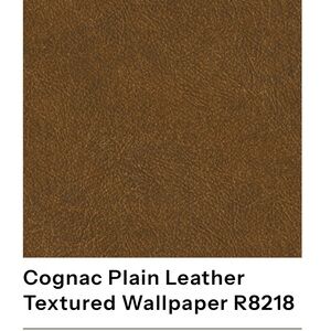 Tahiti Dark Brown Leather Plain